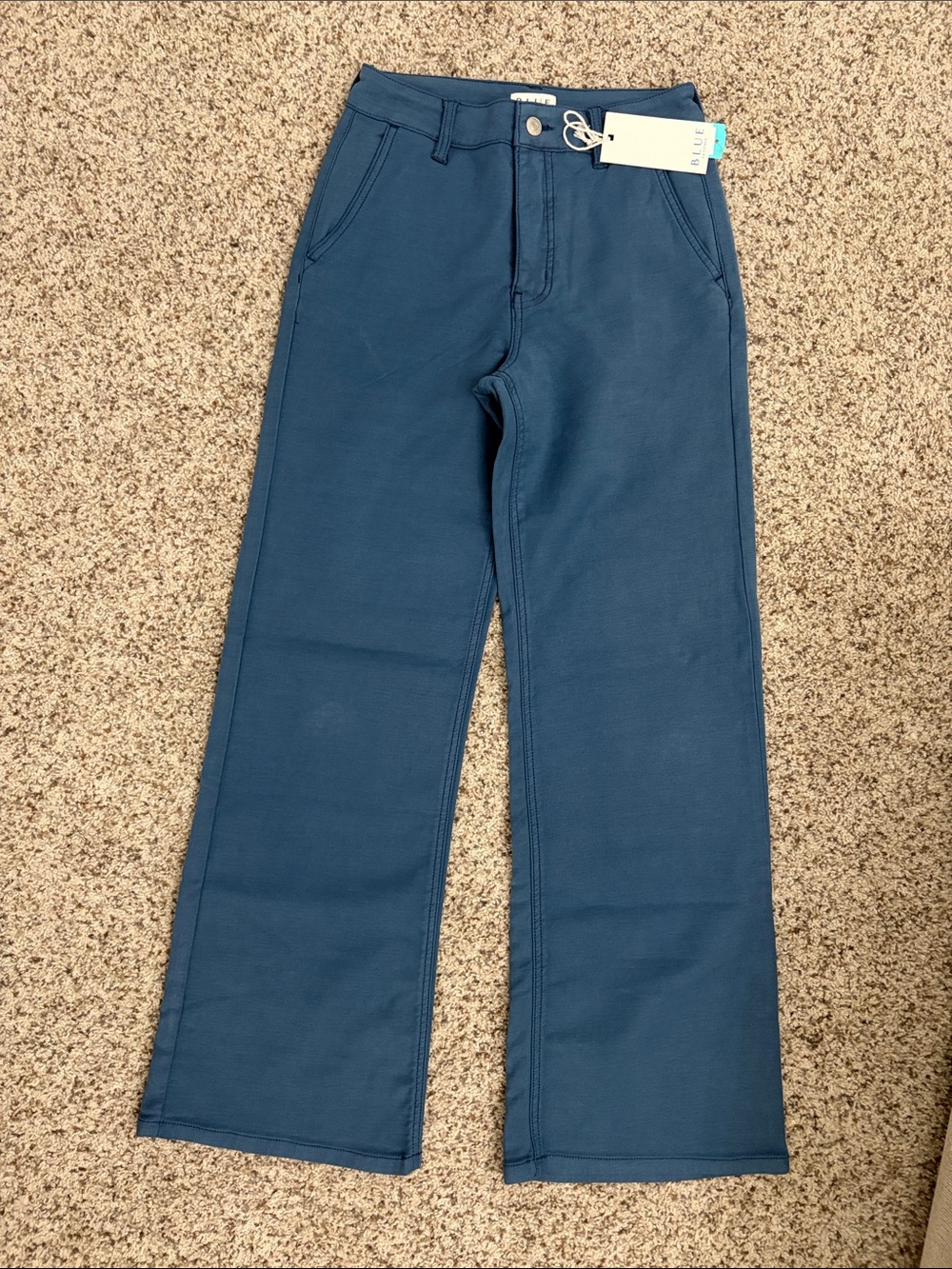 Blue Artemis Wide-Leg Pants
